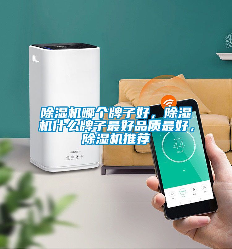 除濕機(jī)哪個(gè)牌子好，除濕機(jī)什么牌子最好品質(zhì)最好，除濕機(jī)推薦