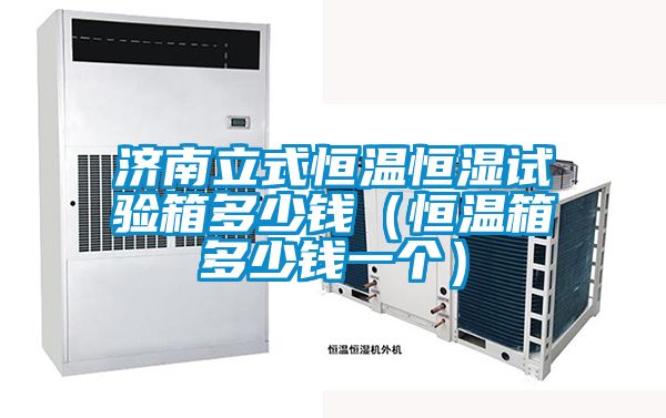 濟(jì)南立式恒溫恒濕試驗(yàn)箱多少錢(qián)（恒溫箱多少錢(qián)一個(gè)）