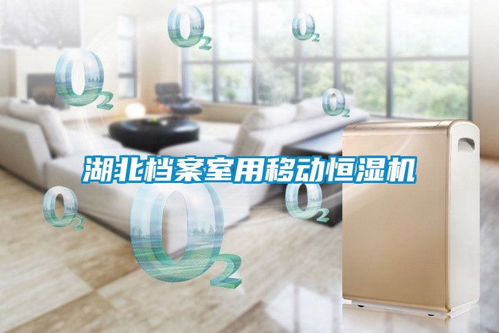 湖北檔案室用移動恒濕機