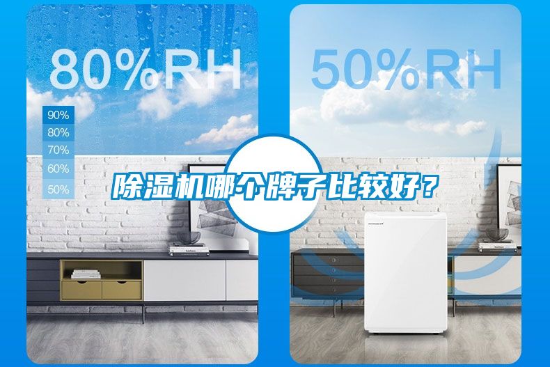 除濕機(jī)哪個(gè)牌子比較好？