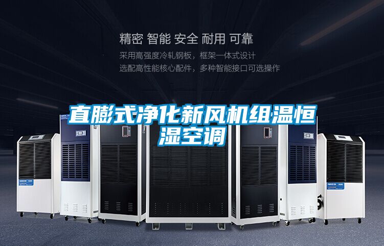 直膨式凈化新風(fēng)機(jī)組溫恒濕空調(diào)