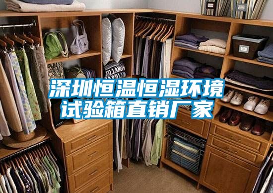 深圳恒溫恒濕環(huán)境試驗(yàn)箱直銷(xiāo)廠家