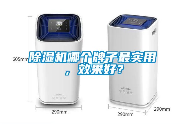 除濕機(jī)哪個(gè)牌子最實(shí)用，效果好？