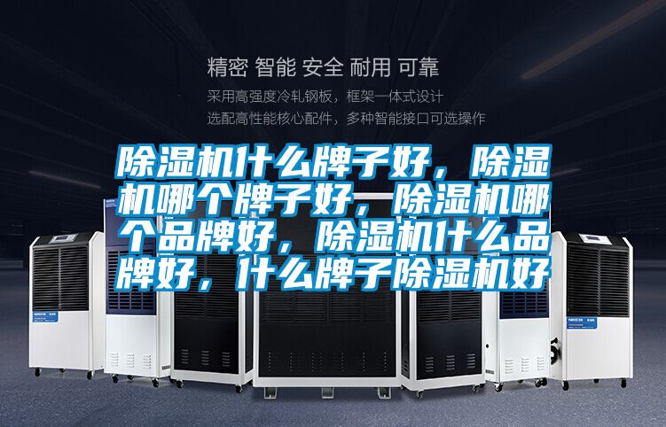 除濕機什么牌子好，除濕機哪個牌子好，除濕機哪個品牌好，除濕機什么品牌好，什么牌子除濕機好