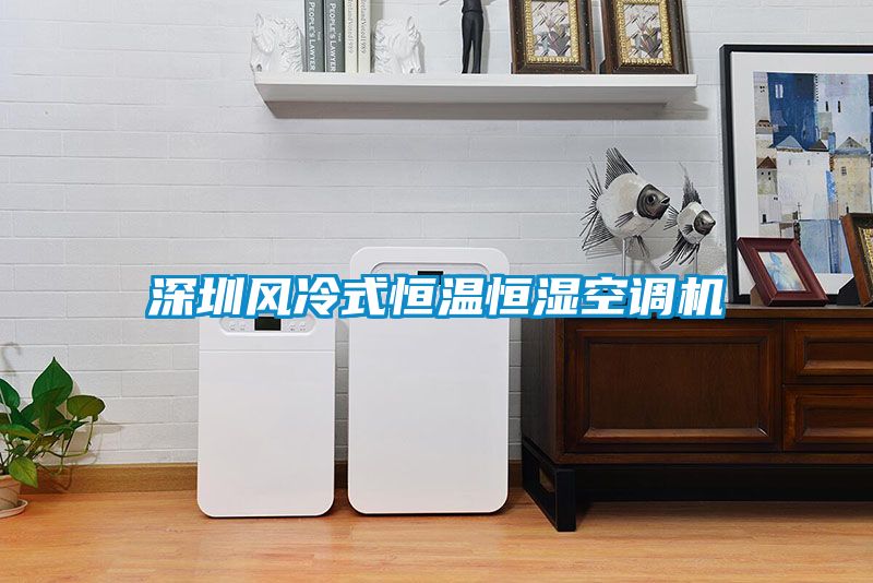 深圳風冷式恒溫恒濕空調機