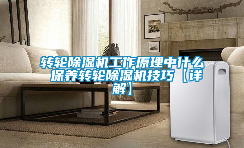 轉(zhuǎn)輪除濕機工作原理中什么 保養(yǎng)轉(zhuǎn)輪除濕機技巧【詳解】