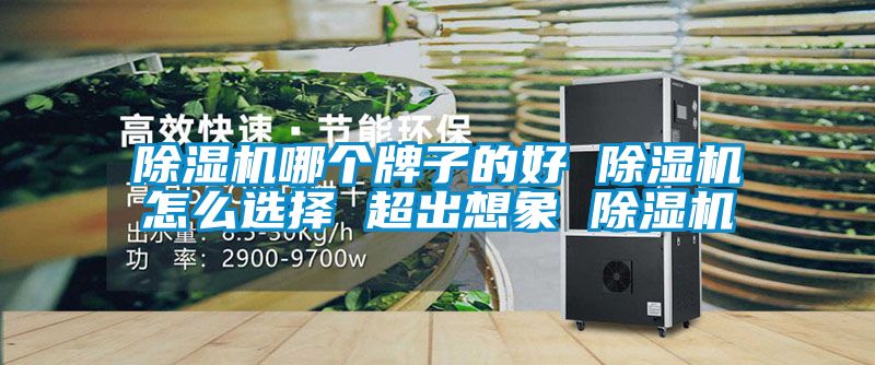 除濕機哪個牌子的好 除濕機怎么選擇 超出想象 除濕機