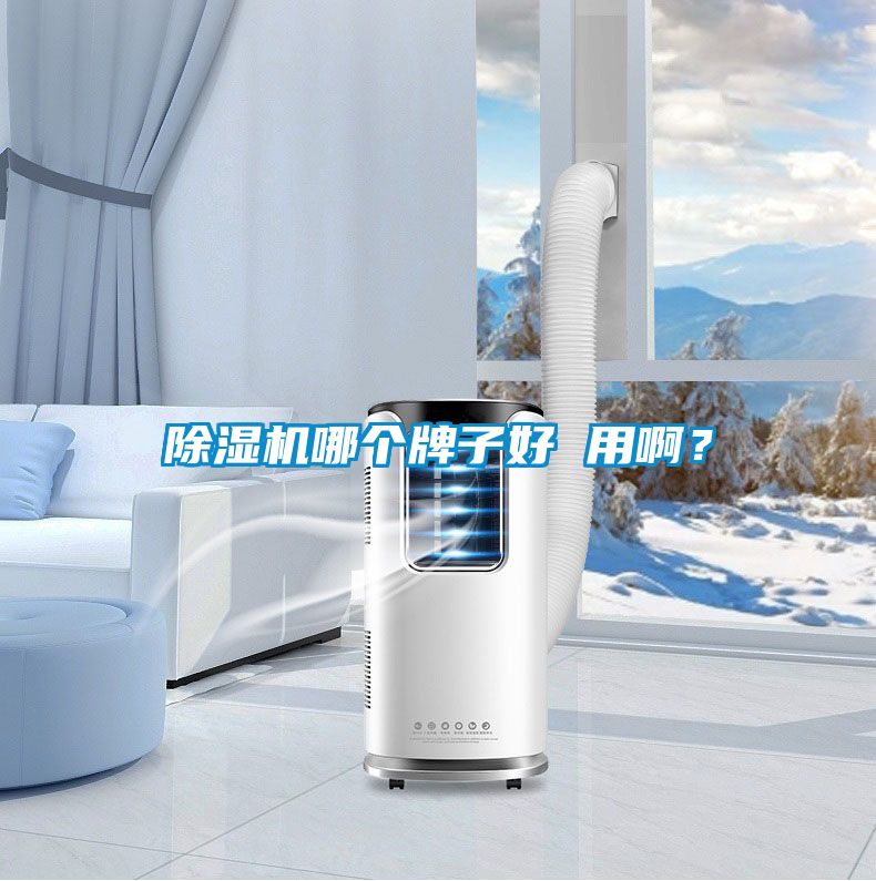 除濕機(jī)哪個牌子好 用啊？