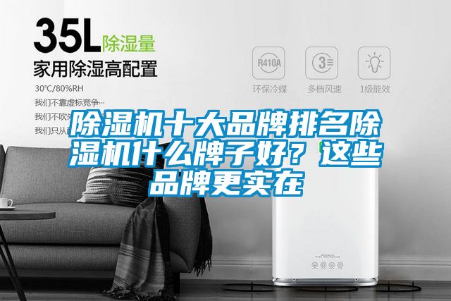 除濕機十大品牌排名除濕機什么牌子好？這些品牌更實在