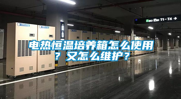 電熱恒溫培養箱怎么使用？又怎么維護？