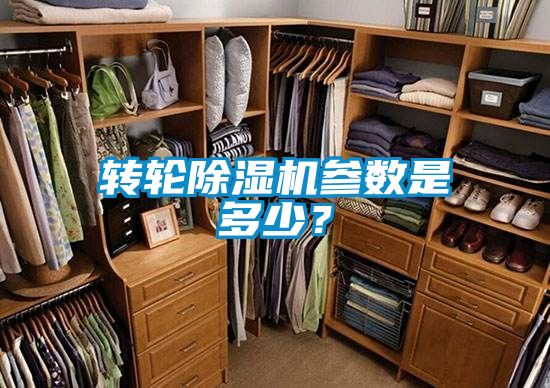 轉(zhuǎn)輪除濕機(jī)參數(shù)是多少？