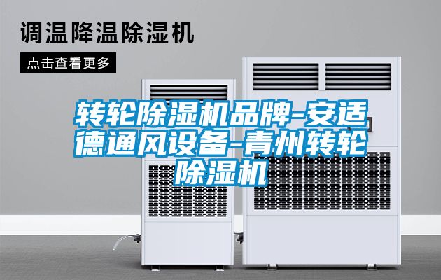 轉(zhuǎn)輪除濕機品牌-安適德通風(fēng)設(shè)備-青州轉(zhuǎn)輪除濕機