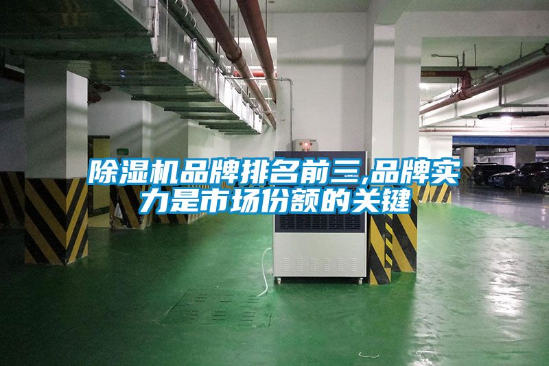 除濕機品牌排名前三,品牌實力是市場份額的關(guān)鍵