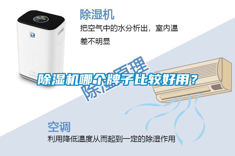 除濕機(jī)哪個(gè)牌子比較好用？