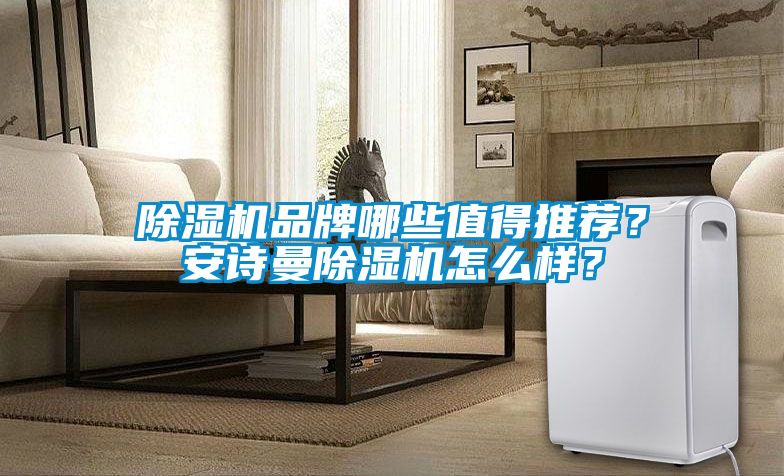 除濕機(jī)品牌哪些值得推薦？安詩曼除濕機(jī)怎么樣？