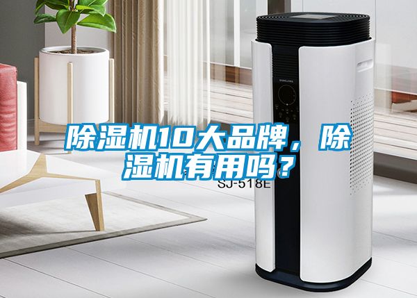 除濕機(jī)10大品牌，除濕機(jī)有用嗎？