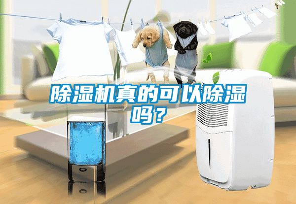 除濕機(jī)真的可以除濕嗎？
