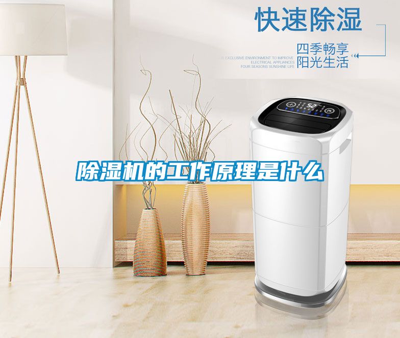 除濕機(jī)的工作原理是什么