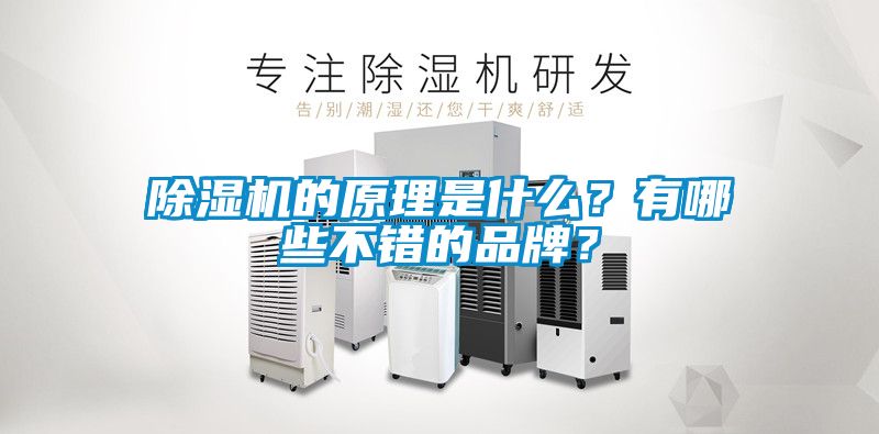 除濕機(jī)的原理是什么？有哪些不錯(cuò)的品牌？