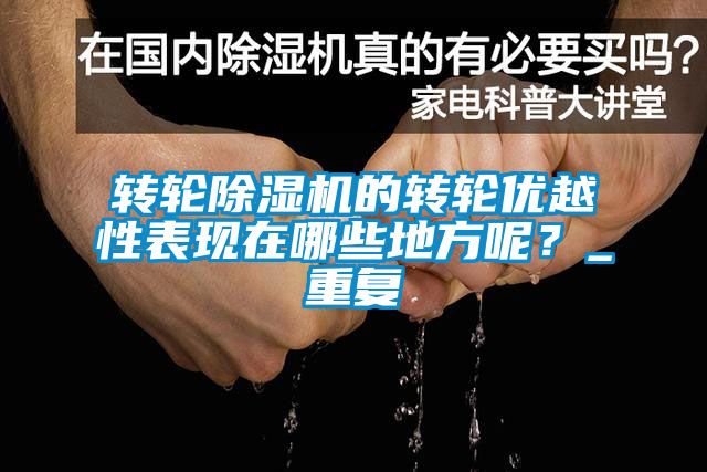 轉輪除濕機的轉輪優越性表現在哪些地方呢？_重復