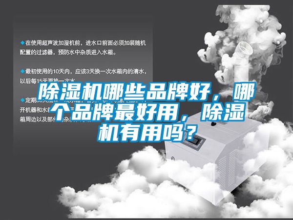 除濕機哪些品牌好，哪個品牌最好用，除濕機有用嗎？