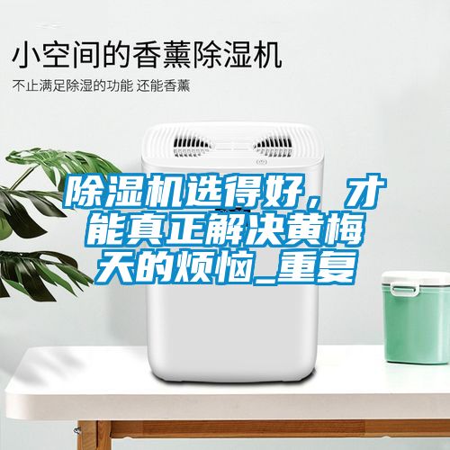 除濕機選得好，才能真正解決黃梅天的煩惱_重復