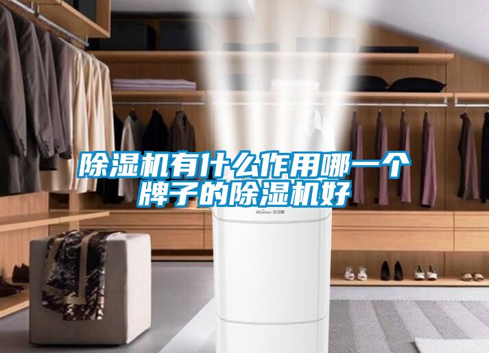 除濕機有什么作用哪一個牌子的除濕機好