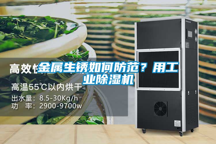 金屬生銹如何防范？用工業除濕機