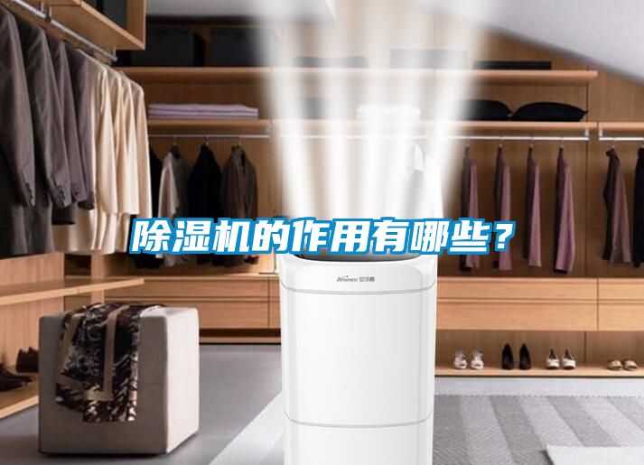 除濕機的作用有哪些？