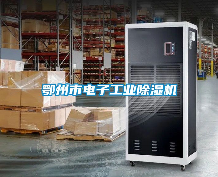 鄂州市電子工業除濕機