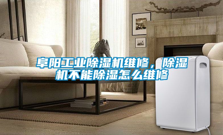 阜陽工業(yè)除濕機維修，除濕機不能除濕怎么維修