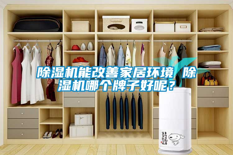 除濕機能改善家居環境 除濕機哪個牌子好呢？
