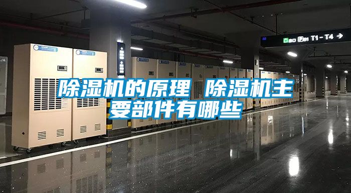 除濕機(jī)的原理 除濕機(jī)主要部件有哪些