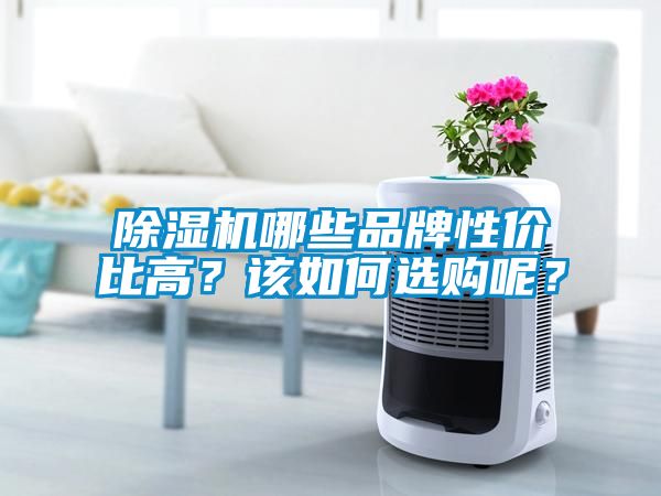 除濕機(jī)哪些品牌性價(jià)比高？該如何選購呢？
