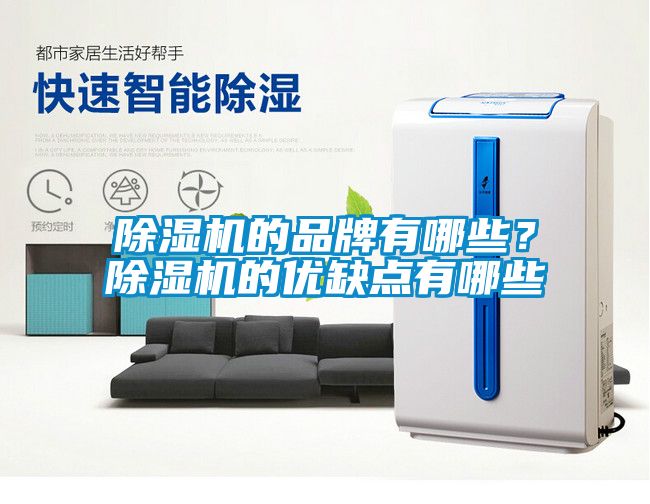 除濕機(jī)的品牌有哪些？除濕機(jī)的優(yōu)缺點(diǎn)有哪些