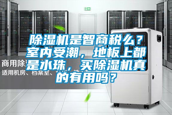 除濕機是智商稅么？室內(nèi)受潮，地板上都是水珠，買除濕機真的有用嗎？