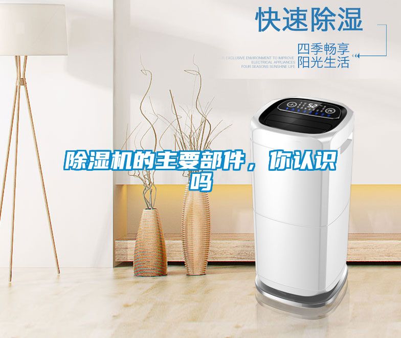 除濕機的主要部件，你認識嗎