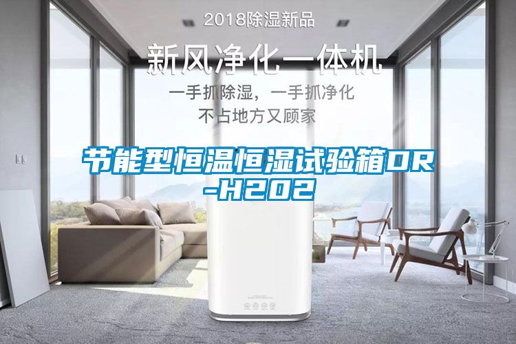 節能型恒溫恒濕試驗箱DR-H202