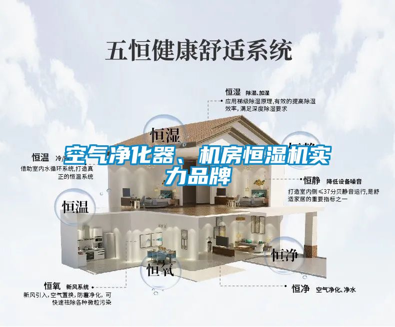 空氣凈化器、機房恒濕機實力品牌