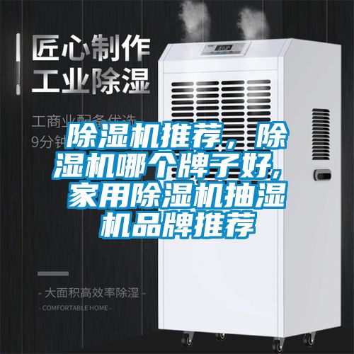 除濕機(jī)推薦，除濕機(jī)哪個(gè)牌子好, 家用除濕機(jī)抽濕機(jī)品牌推薦