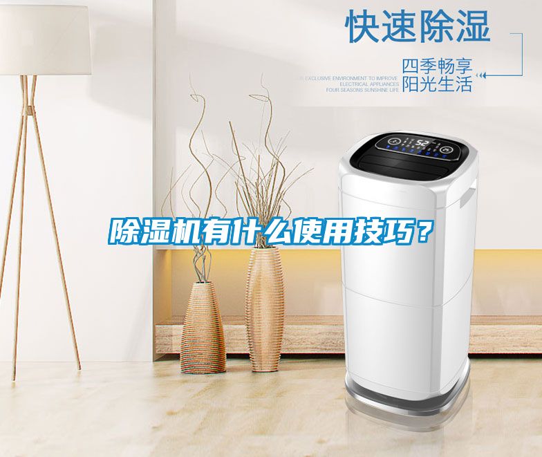 除濕機(jī)有什么使用技巧？