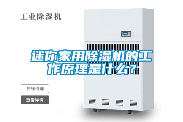 迷你家用除濕機(jī)的工作原理是什么？