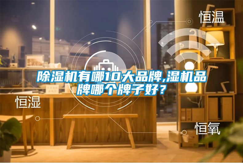 除濕機有哪10大品牌,濕機品牌哪個牌子好？