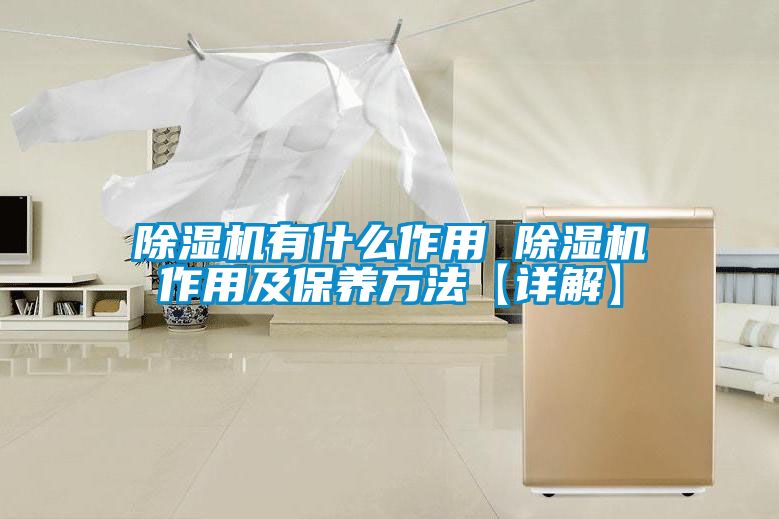 除濕機有什么作用 除濕機作用及保養方法【詳解】