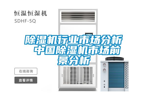 除濕機(jī)行業(yè)市場分析 中國除濕機(jī)市場前景分析