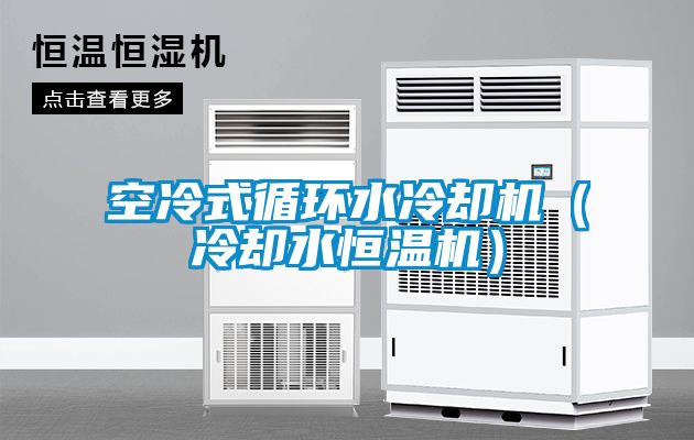 空冷式循環(huán)水冷卻機（冷卻水恒溫機）