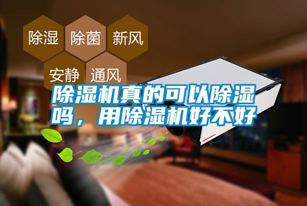 除濕機真的可以除濕嗎，用除濕機好不好