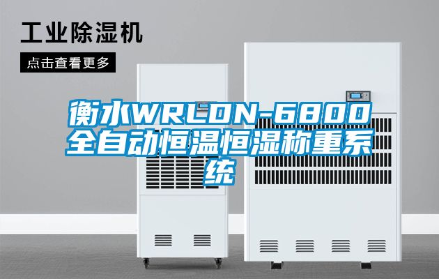 衡水WRLDN-6800全自動恒溫恒濕稱重系統