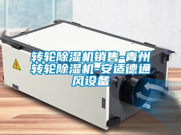轉(zhuǎn)輪除濕機銷售-青州轉(zhuǎn)輪除濕機-安適德通風(fēng)設(shè)備