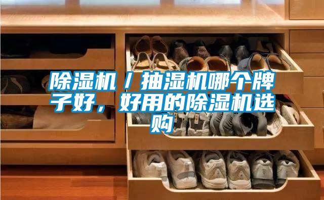 除濕機／抽濕機哪個牌子好，好用的除濕機選購